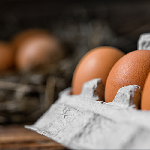 Edgeworth Client Secures Landmark Win in Federal Antitrust Case Alleging Conspiracy to Raise Egg Prices