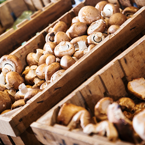 Edgeworth Clients EMMC and Mushroom Growers Found Not Liable for Antitrust Conspiracy Allegations by Winn-Dixie Stores