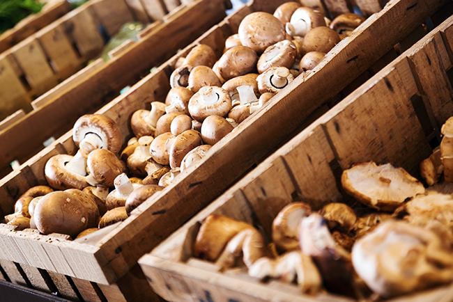 Edgeworth Clients EMMC and Mushroom Growers Found Not Liable for Antitrust Conspiracy Allegations by Winn-Dixie Stores